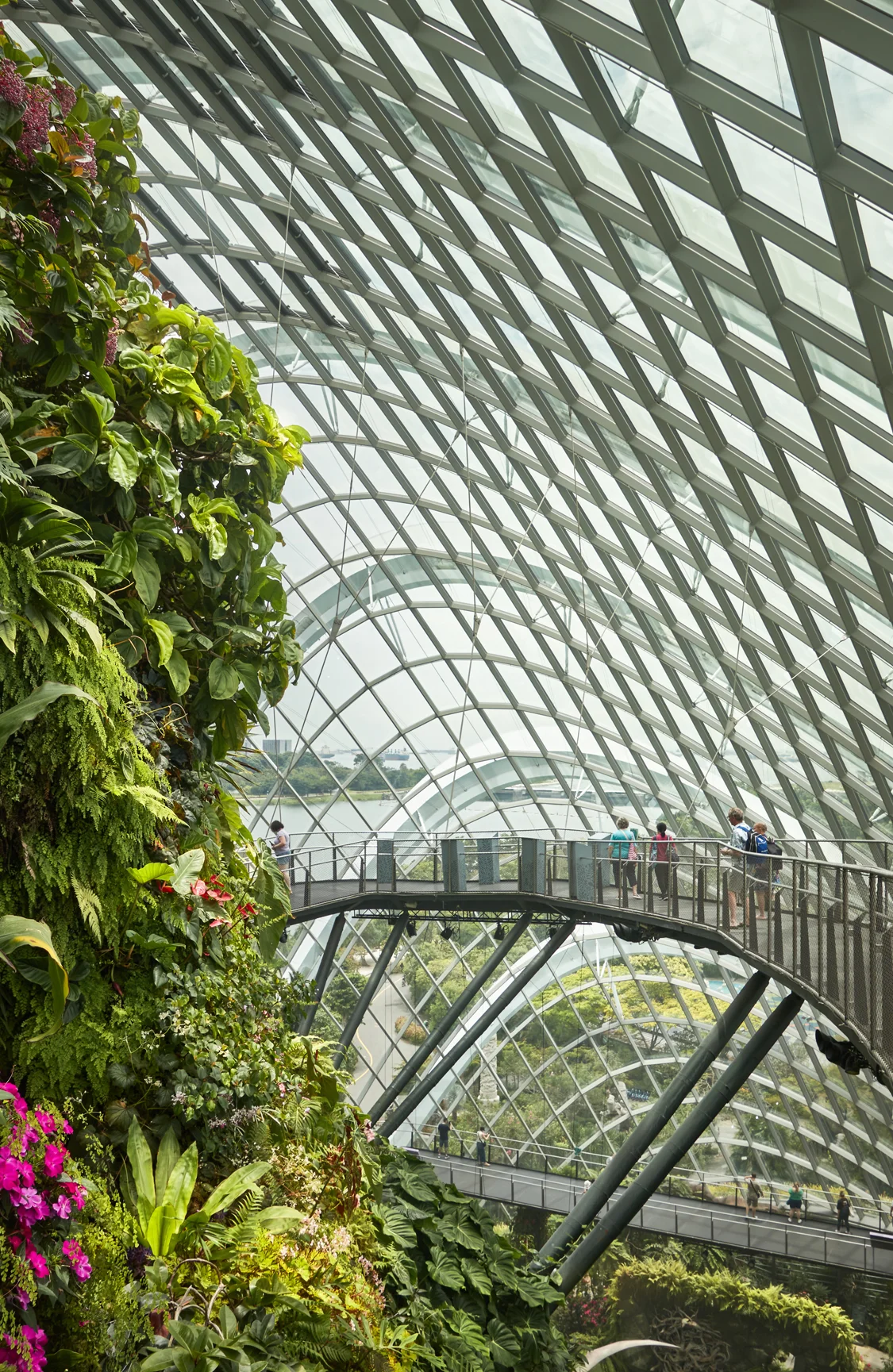 jardin singapur